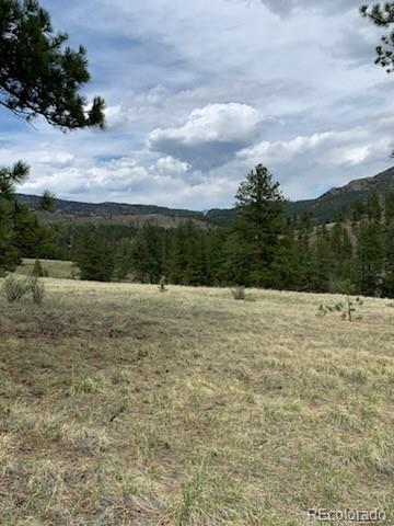 MLS Image #24 for 305  happy top trail,bailey, Colorado