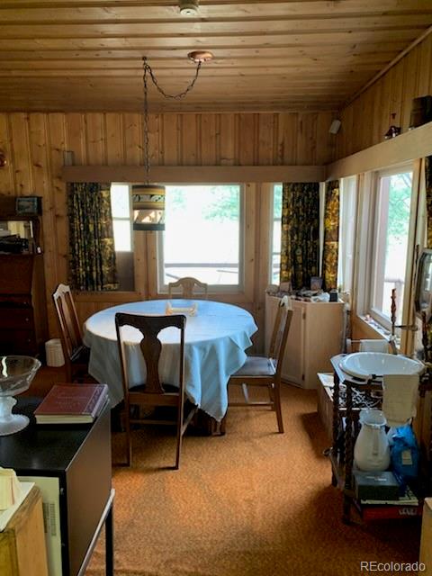 MLS Image #31 for 305  happy top trail,bailey, Colorado