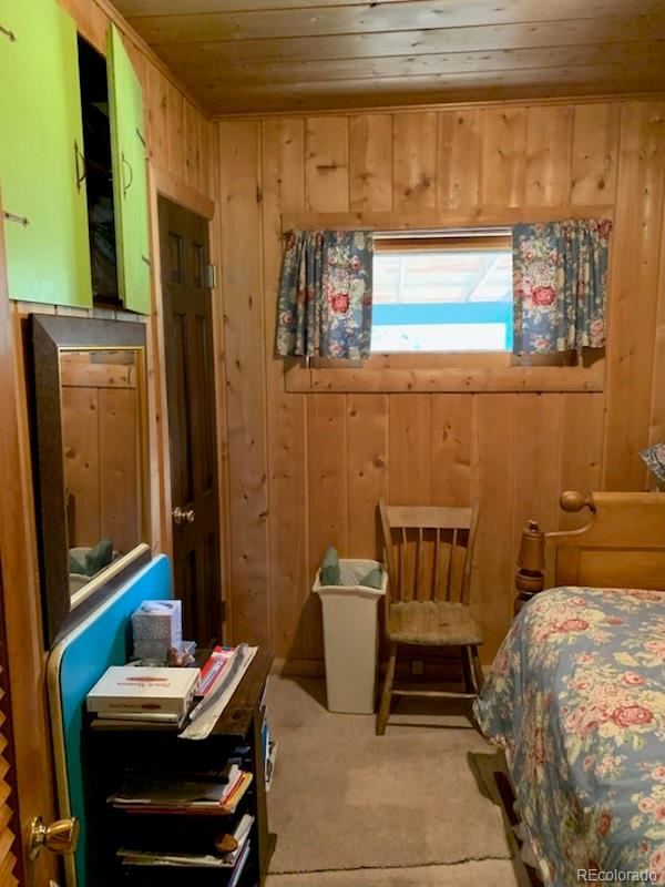 MLS Image #32 for 305  happy top trail,bailey, Colorado