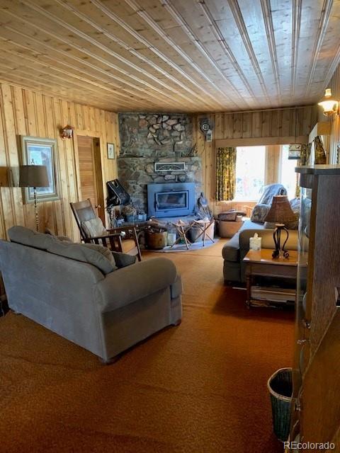 MLS Image #6 for 305  happy top trail,bailey, Colorado