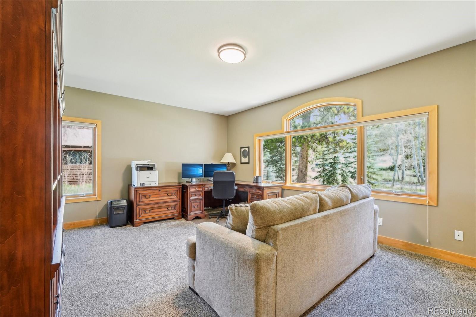 MLS Image #25 for 50  spinning leaf trail,silverthorne, Colorado