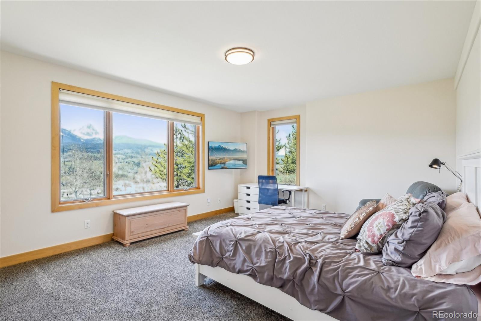 MLS Image #41 for 50  spinning leaf trail,silverthorne, Colorado