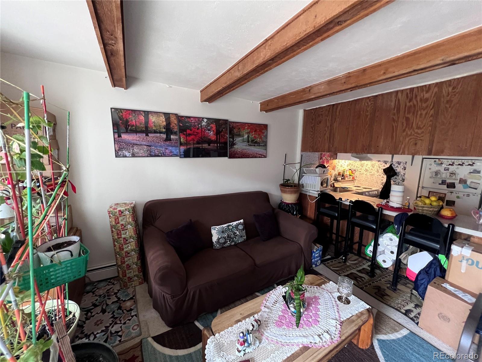 MLS Image #8 for 330 e la bonte street,dillon, Colorado