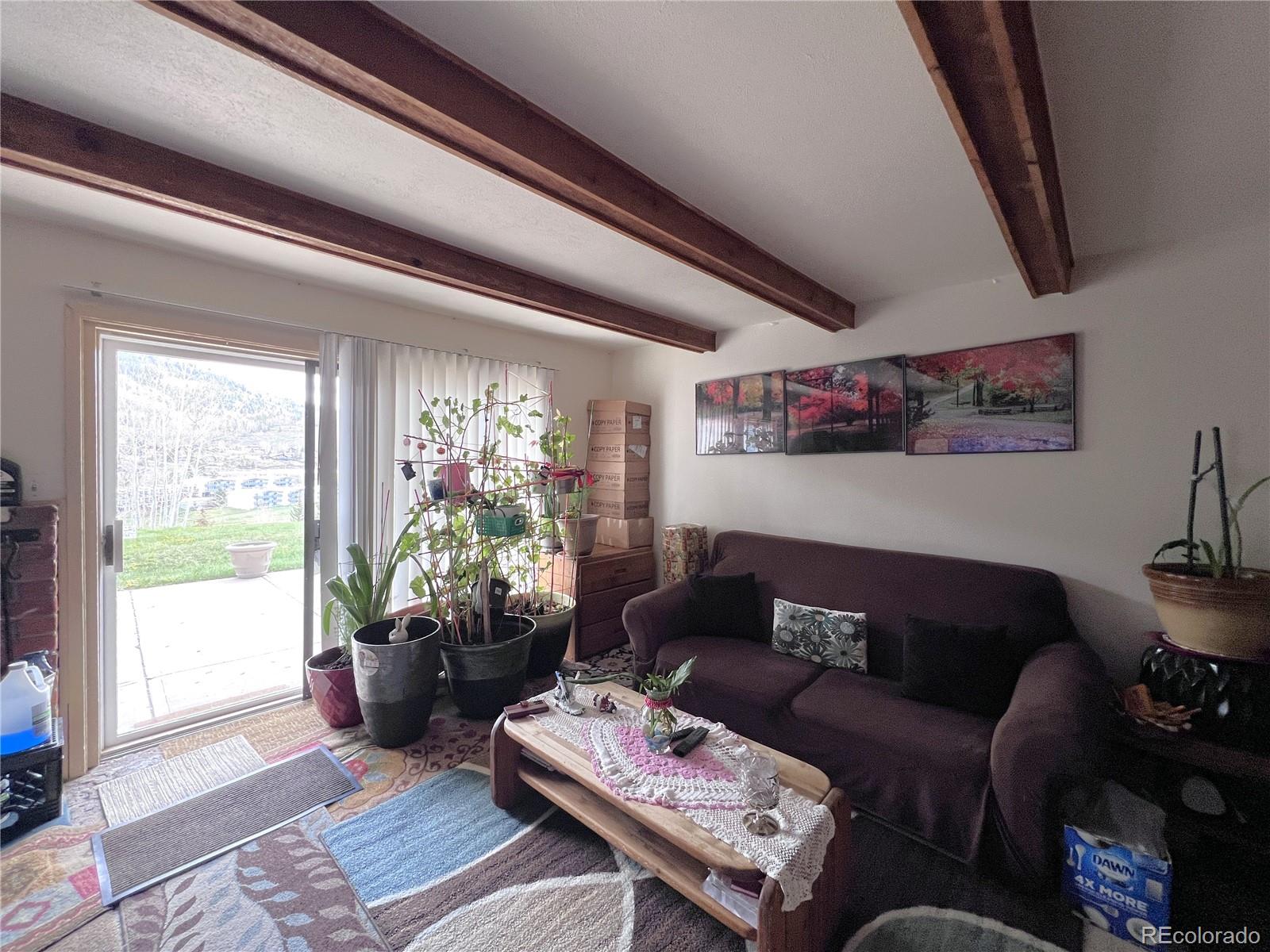MLS Image #9 for 330 e la bonte street,dillon, Colorado