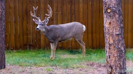 MLS Image #40 for 500 w kelly road,woodland park, Colorado