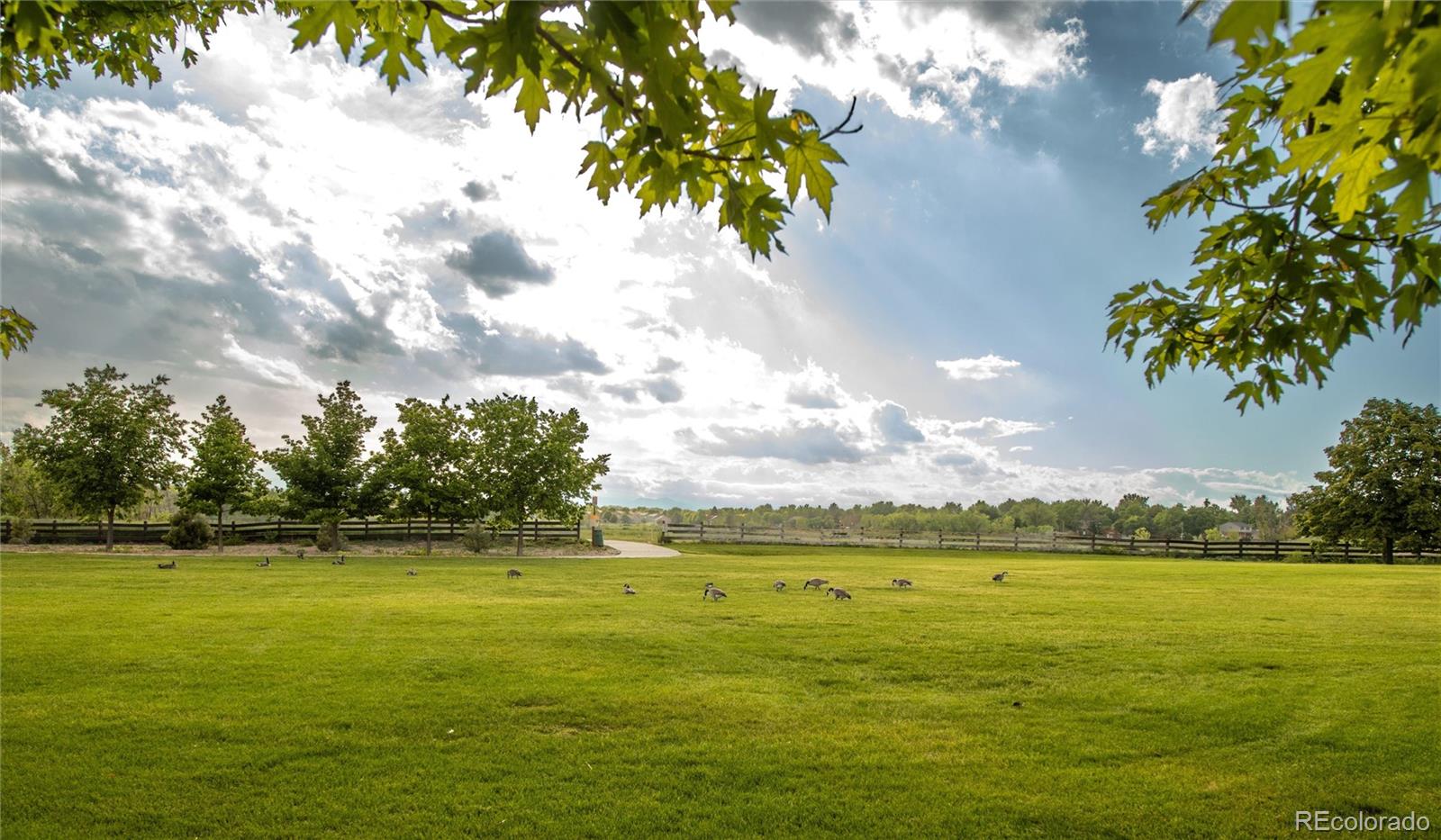 MLS Image #46 for 12790  jackson street,thornton, Colorado