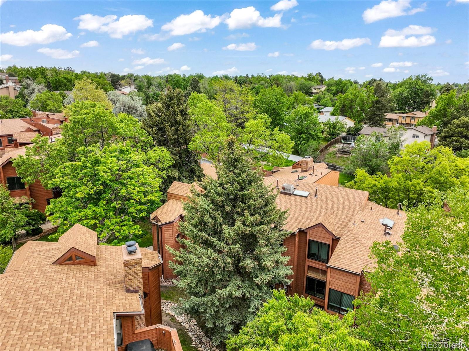 MLS Image #2 for 5010  sunsuite trail,colorado springs, Colorado