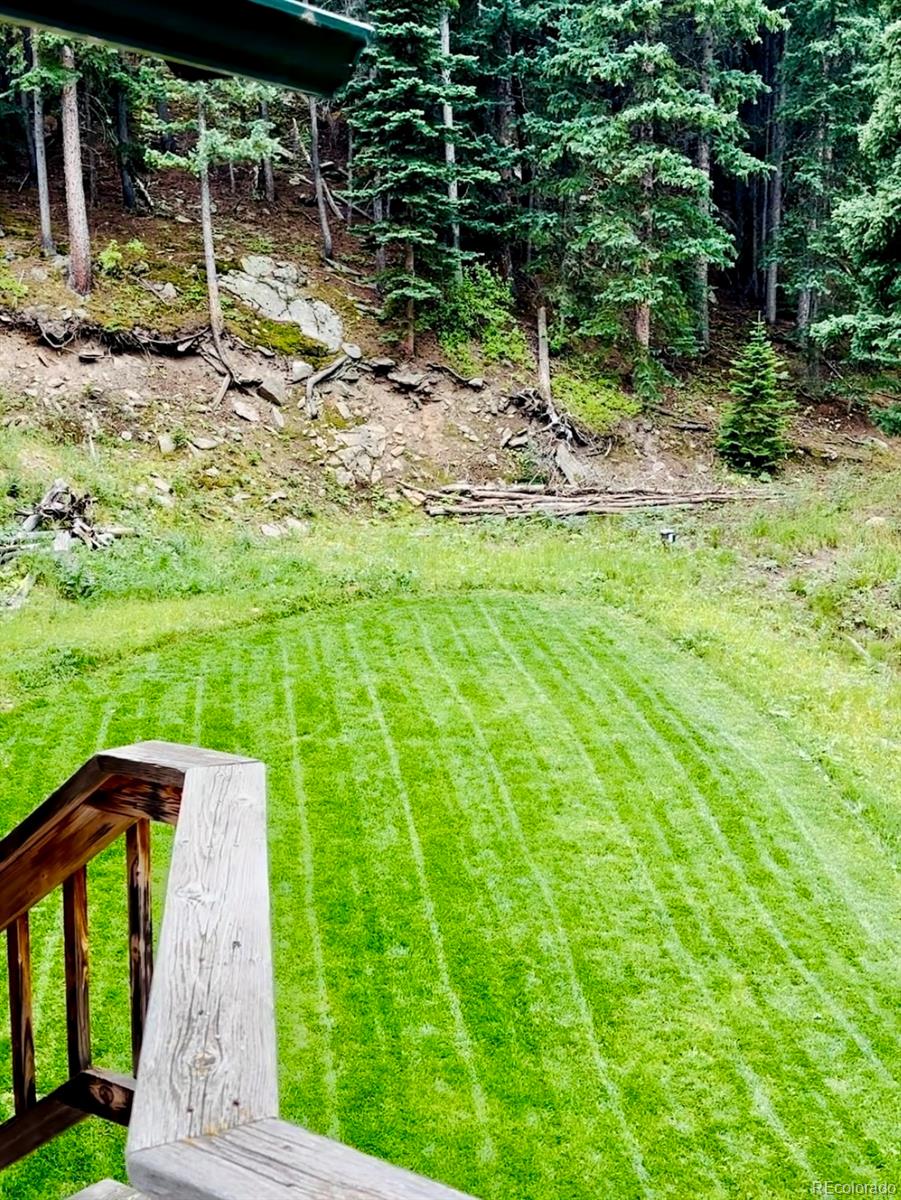 MLS Image #45 for 80  castlewood court,evergreen, Colorado