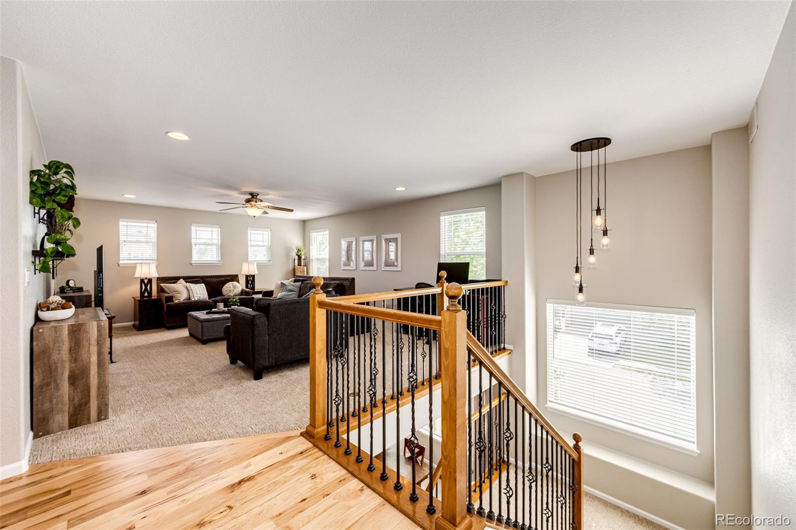 MLS Image #20 for 5550  fox meadow avenue,highlands ranch, Colorado