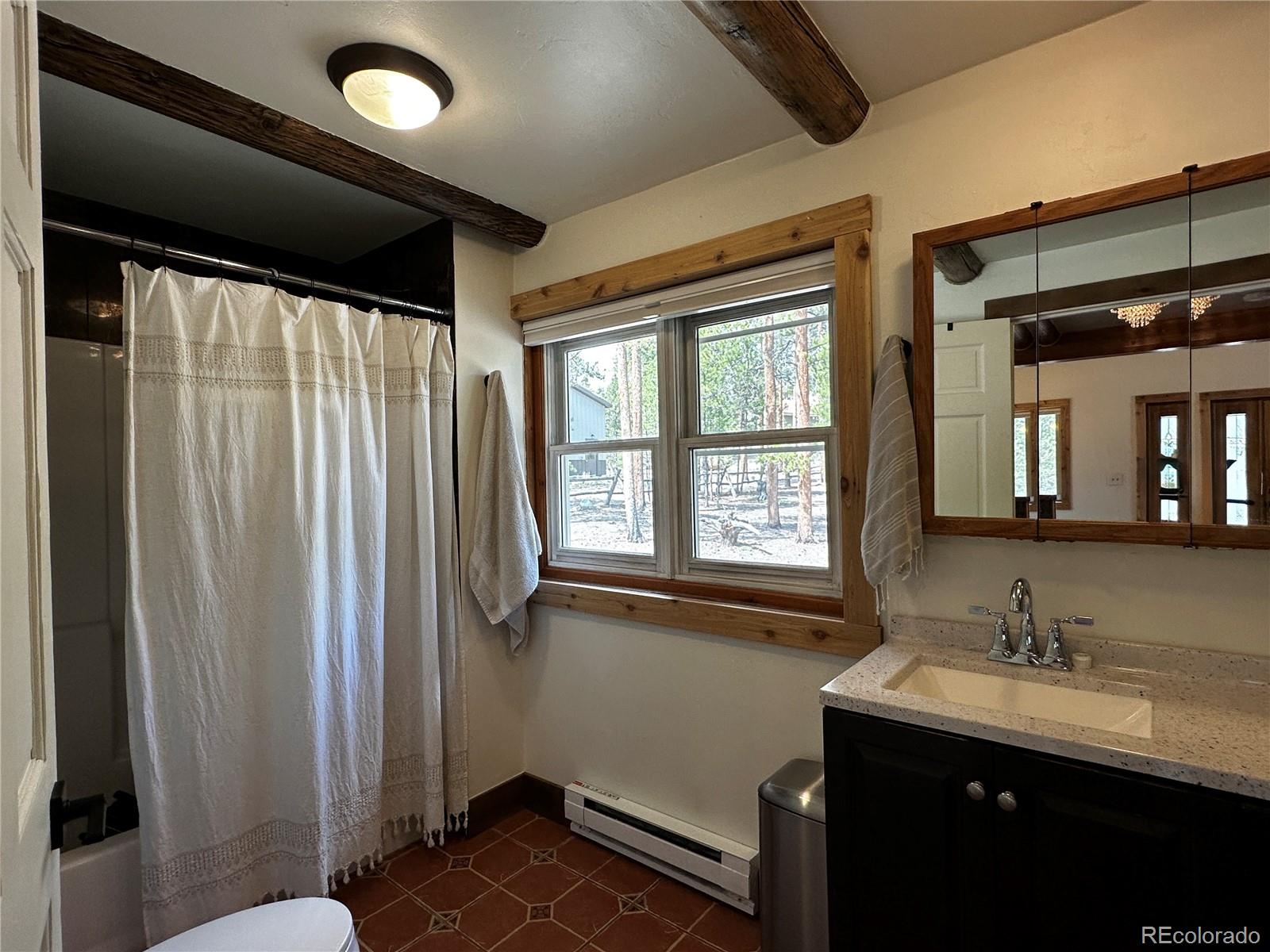 MLS Image #13 for 416  fir drive,leadville, Colorado