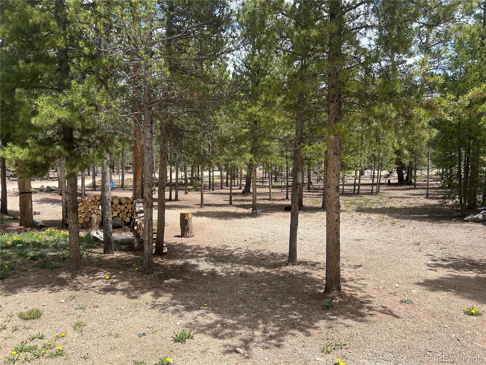 MLS Image #19 for 416  fir drive,leadville, Colorado