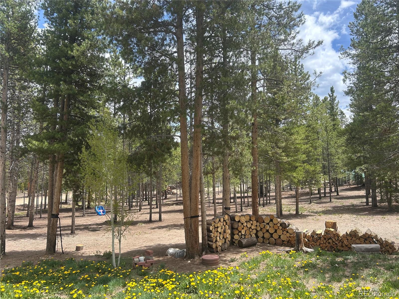 MLS Image #20 for 416  fir drive,leadville, Colorado