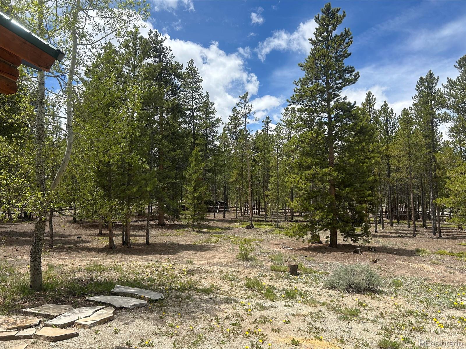 MLS Image #26 for 416  fir drive,leadville, Colorado