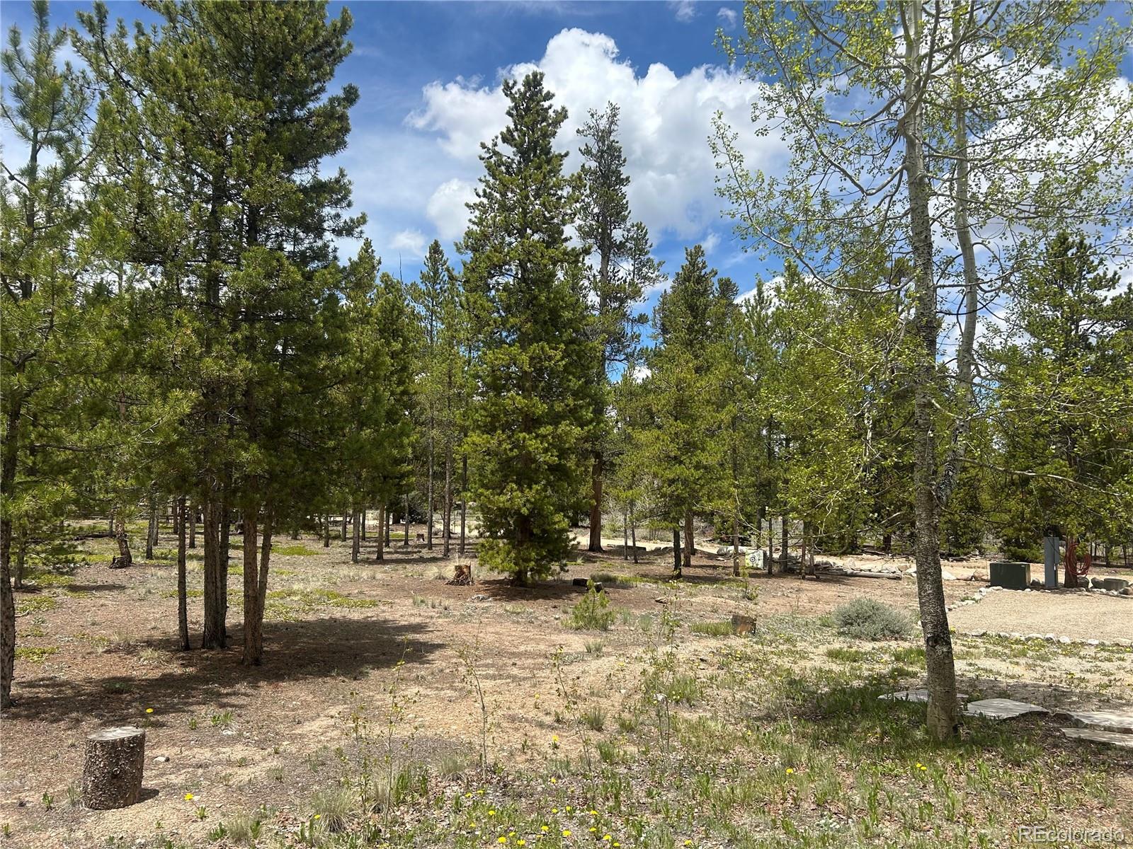 MLS Image #27 for 416  fir drive,leadville, Colorado