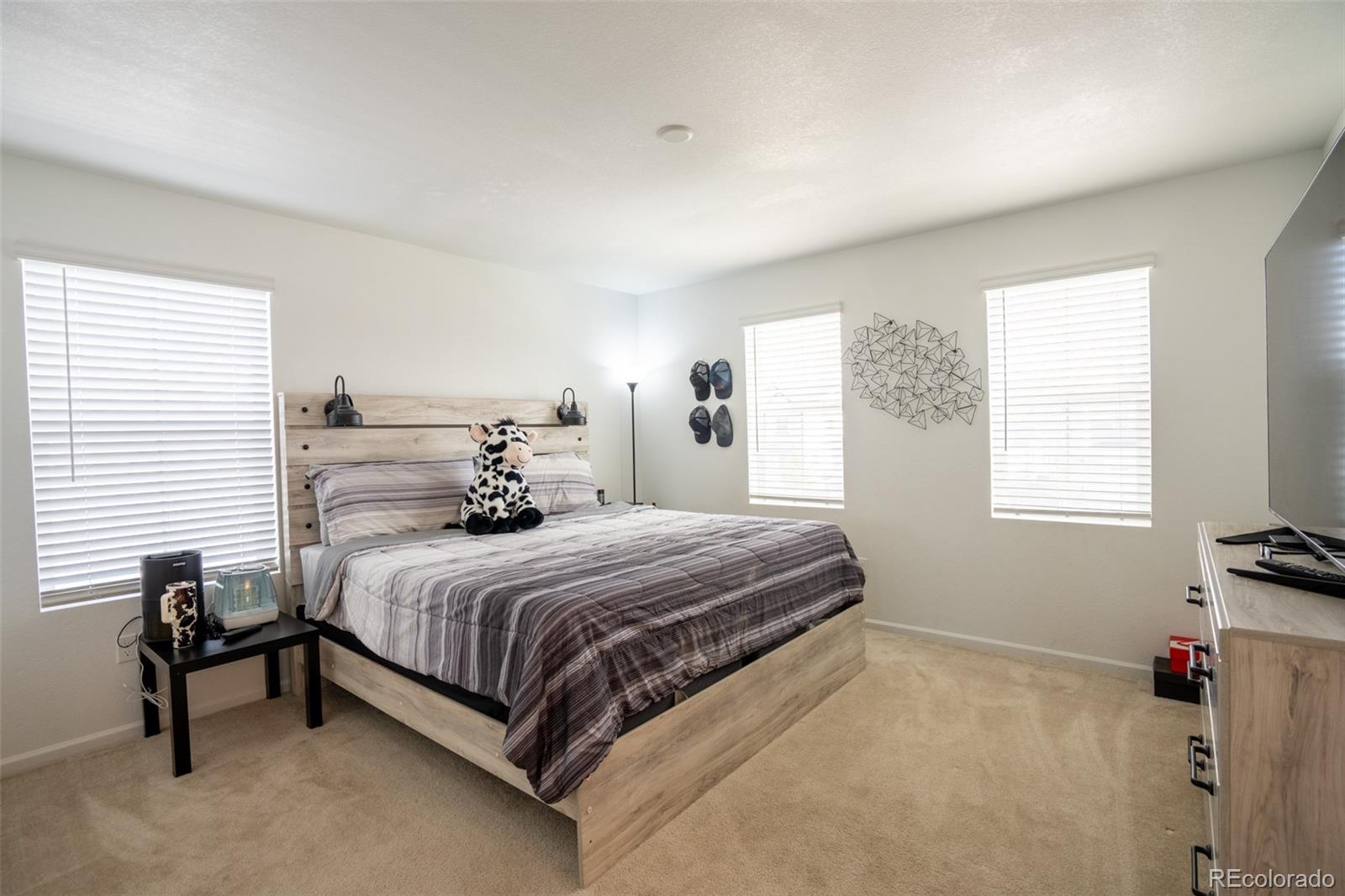 MLS Image #15 for 26985 e bayaud avenue,aurora, Colorado
