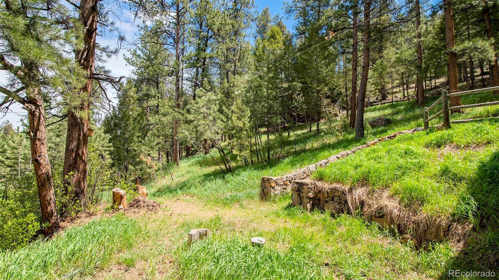 MLS Image #11 for 28958  buffalo park road,evergreen, Colorado