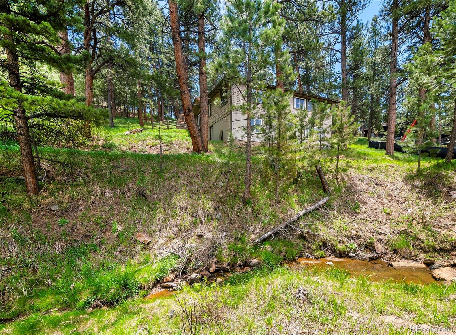 MLS Image #13 for 28958  buffalo park road,evergreen, Colorado