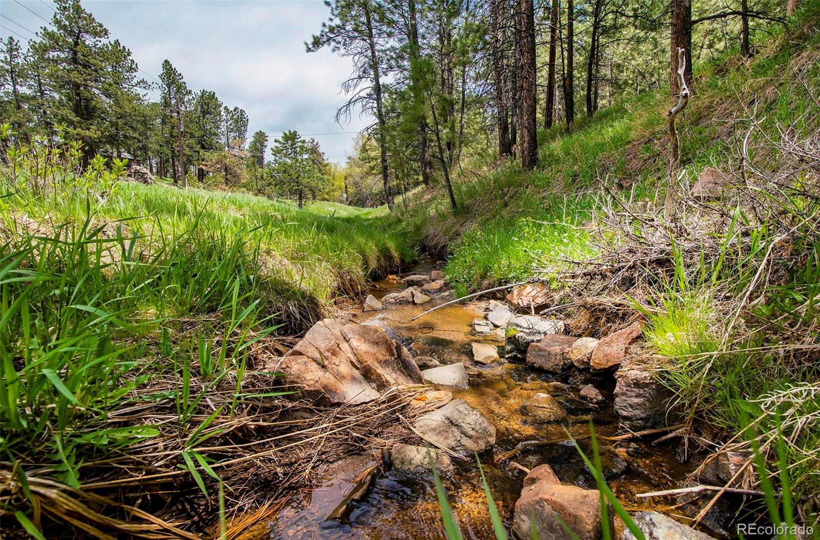 MLS Image #14 for 28958  buffalo park road,evergreen, Colorado