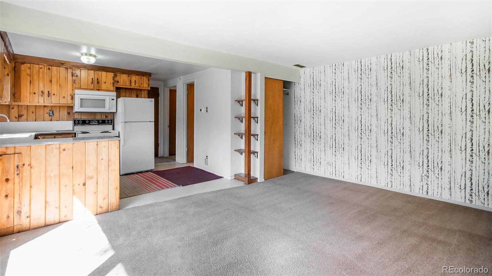 MLS Image #15 for 28958  buffalo park road,evergreen, Colorado