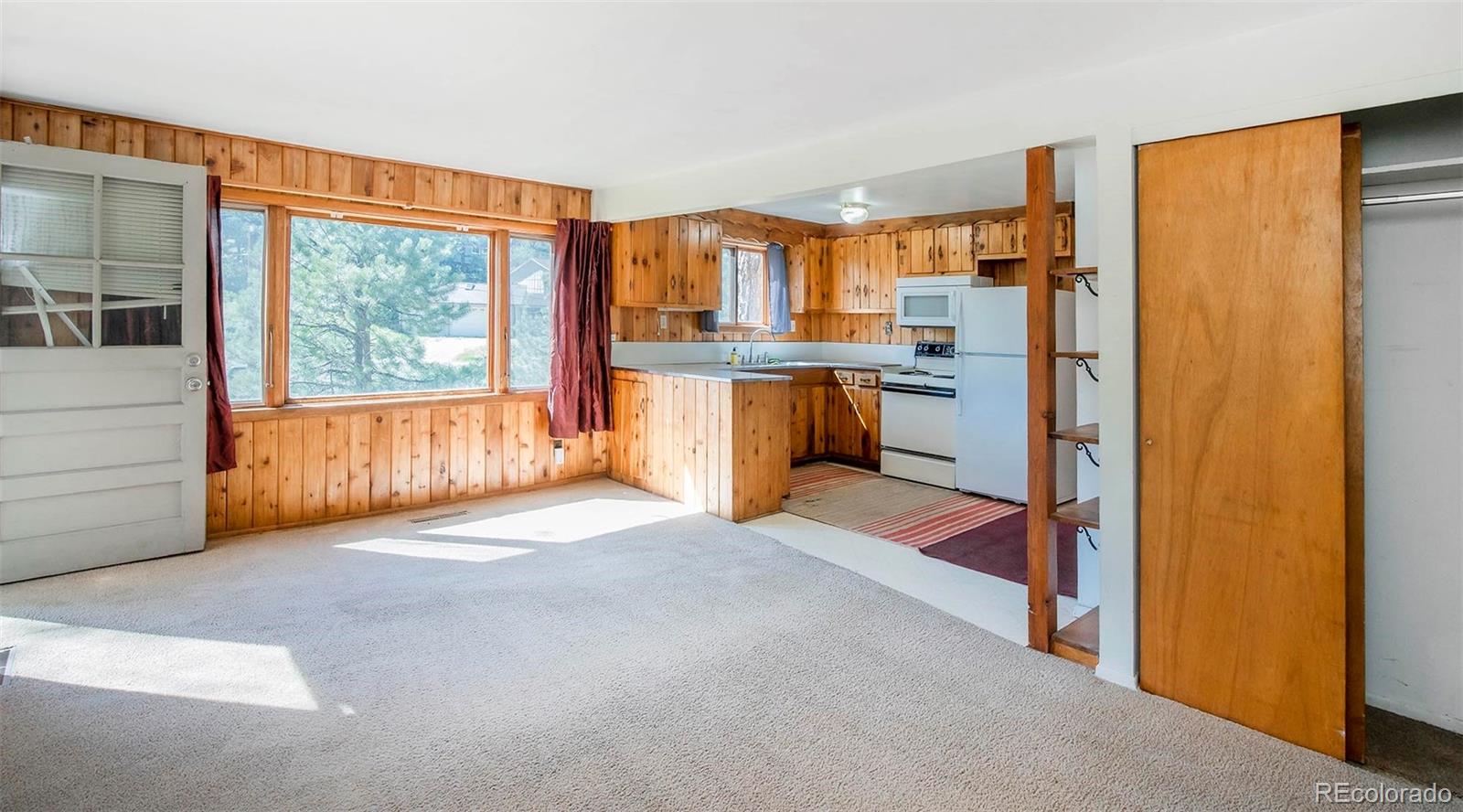 MLS Image #19 for 28958  buffalo park road,evergreen, Colorado