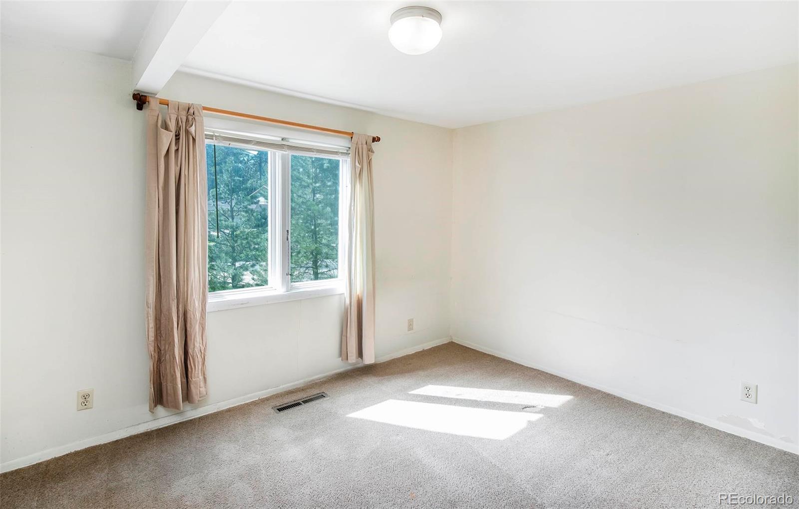MLS Image #23 for 28958  buffalo park road,evergreen, Colorado