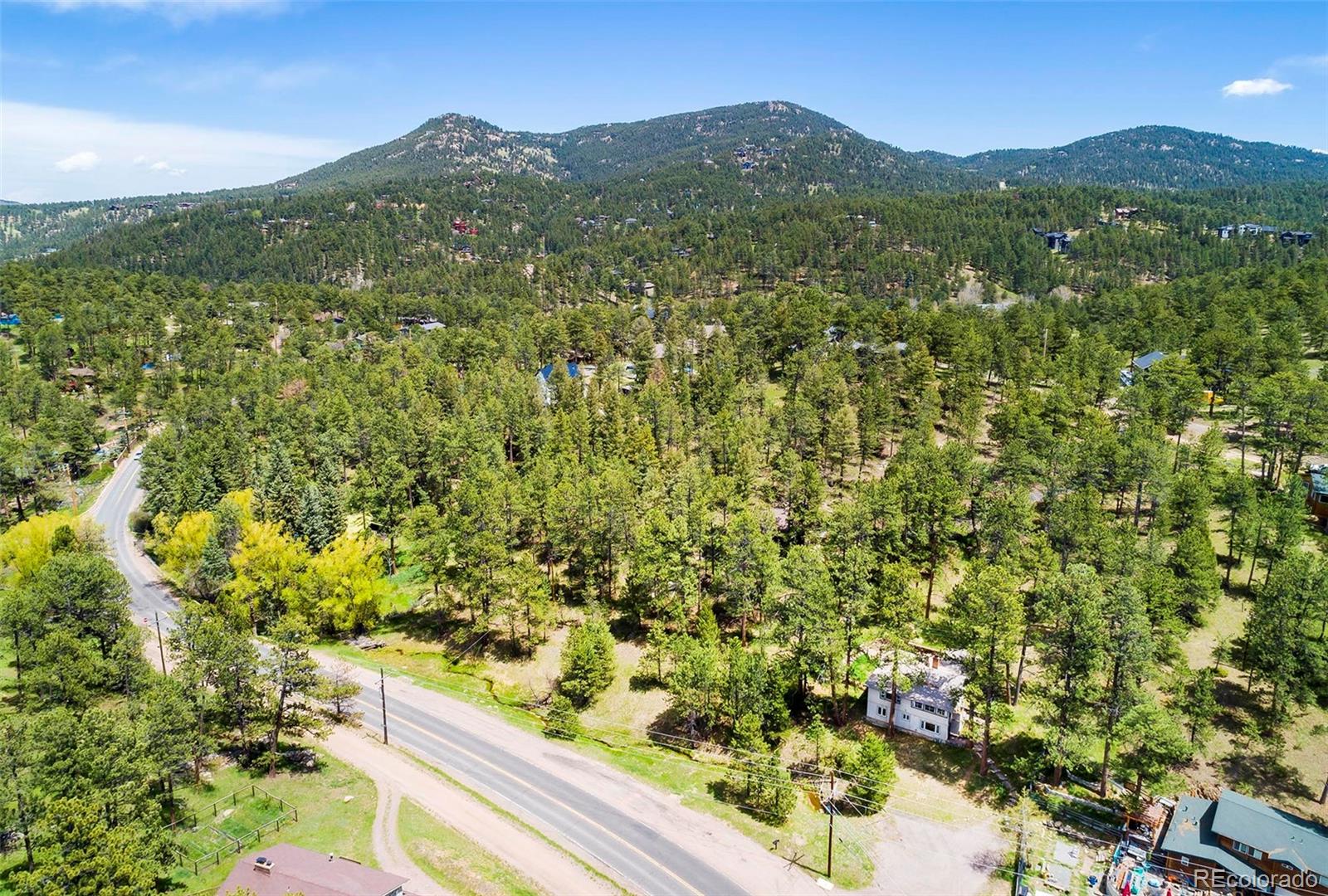 MLS Image #3 for 28958  buffalo park road,evergreen, Colorado