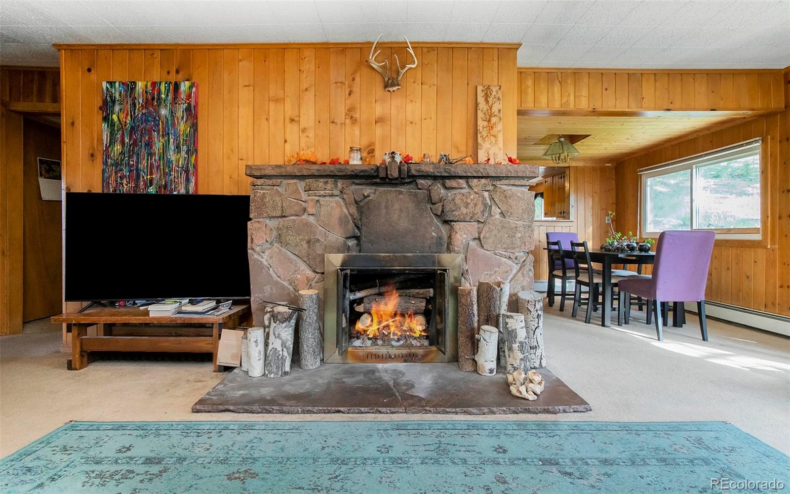 MLS Image #30 for 28958  buffalo park road,evergreen, Colorado