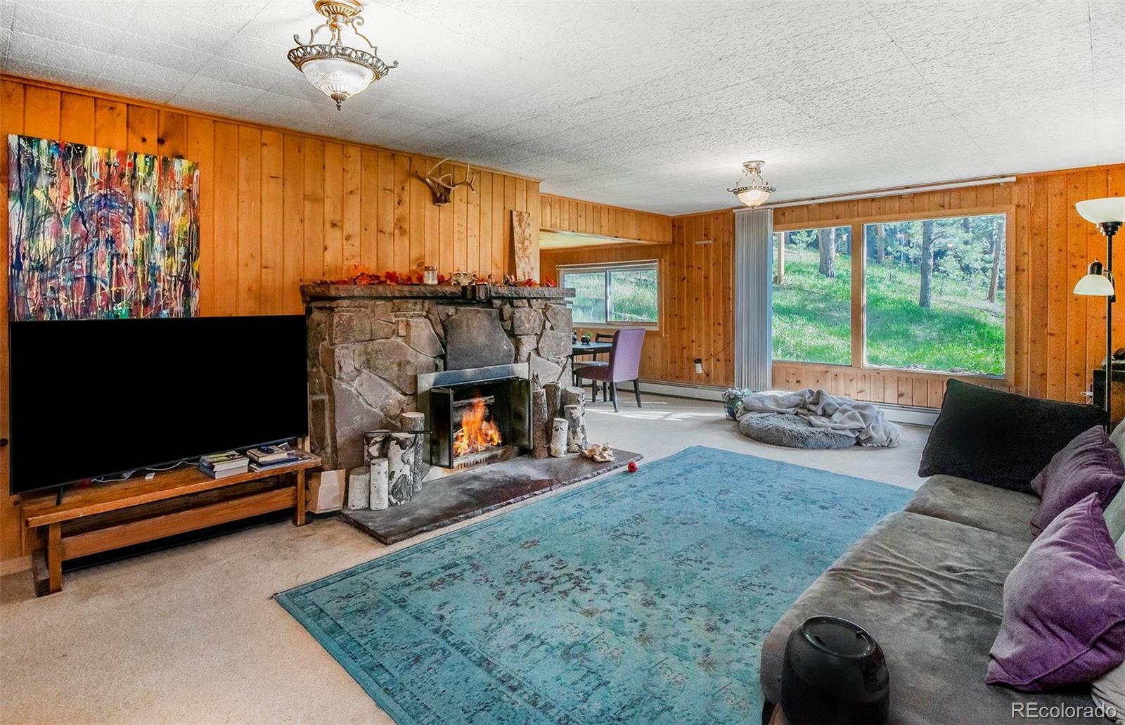 MLS Image #31 for 28958  buffalo park road,evergreen, Colorado