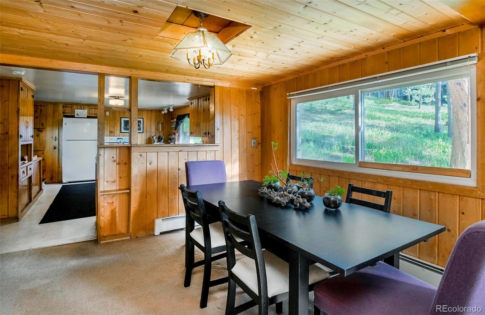 MLS Image #32 for 28958  buffalo park road,evergreen, Colorado