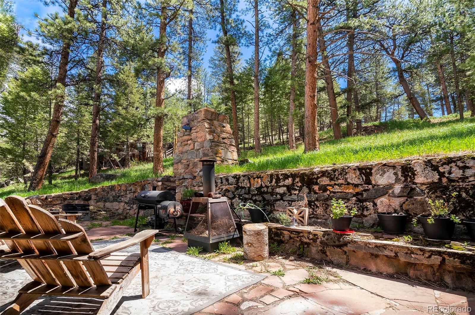 MLS Image #7 for 28958  buffalo park road,evergreen, Colorado