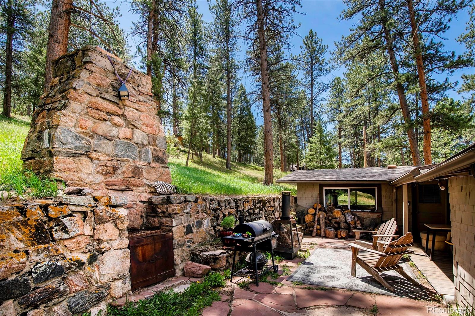 MLS Image #8 for 28958  buffalo park road,evergreen, Colorado