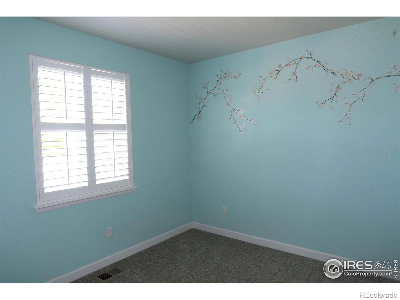 MLS Image #15 for 4631  lakeside drive,firestone, Colorado