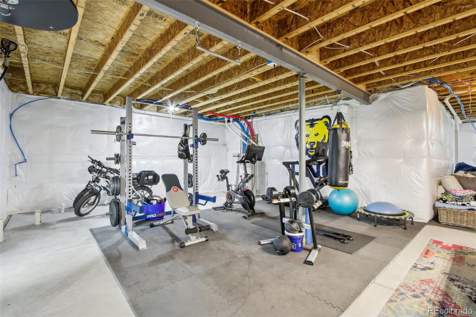 MLS Image #36 for 1607  goldfield trail,castle rock, Colorado