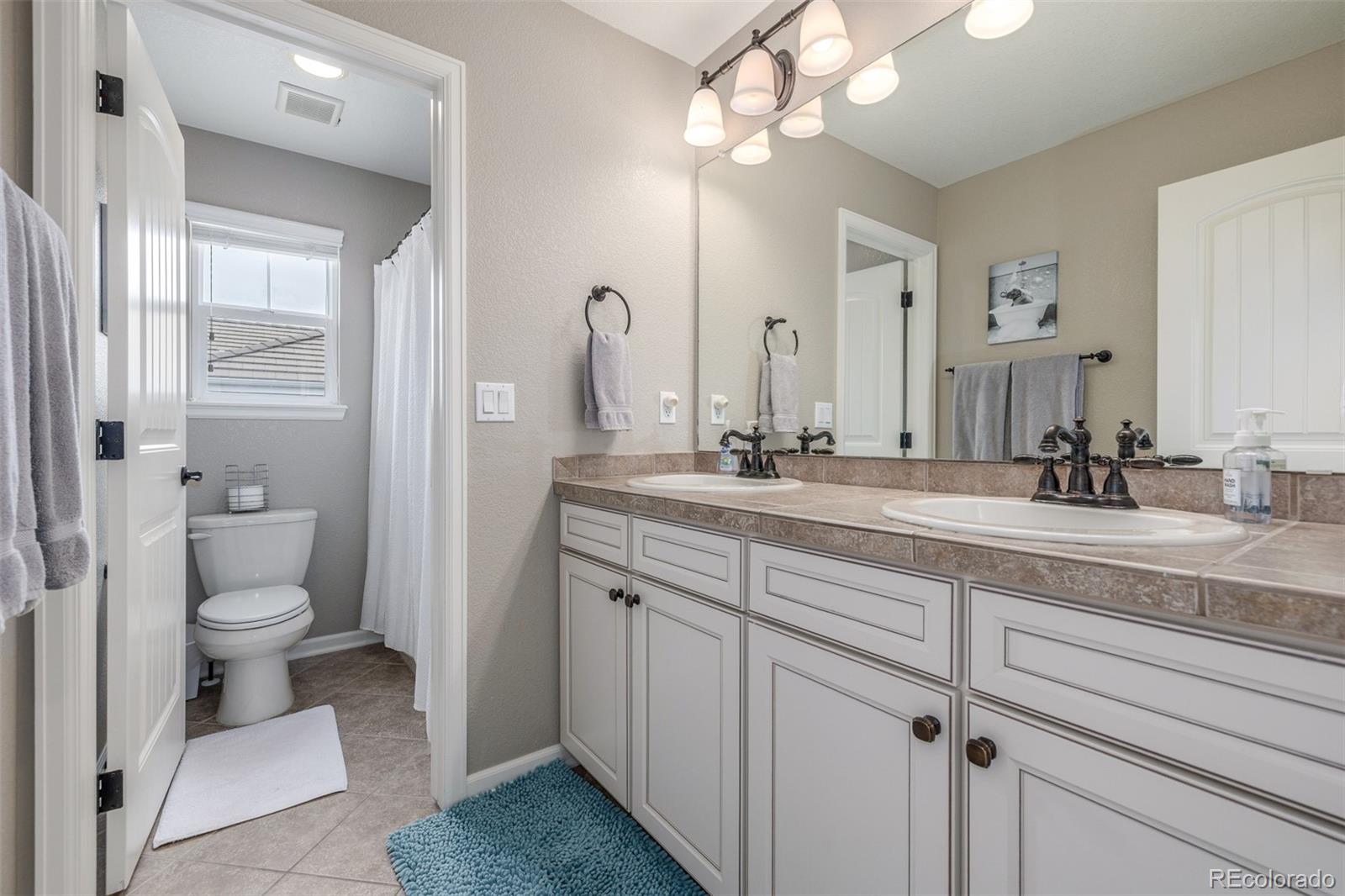 MLS Image #25 for 14258  greenfield loop,parker, Colorado