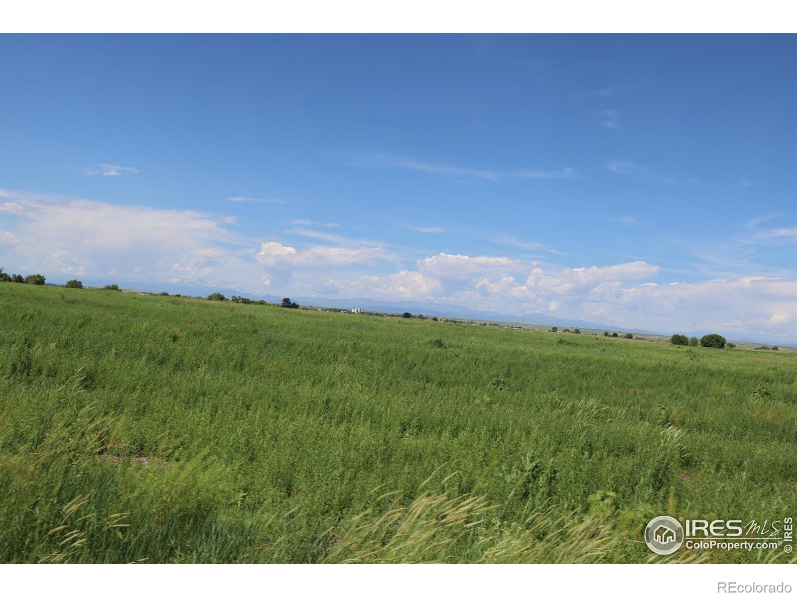 MLS Image #23 for 44585  county road 37 ,pierce, Colorado