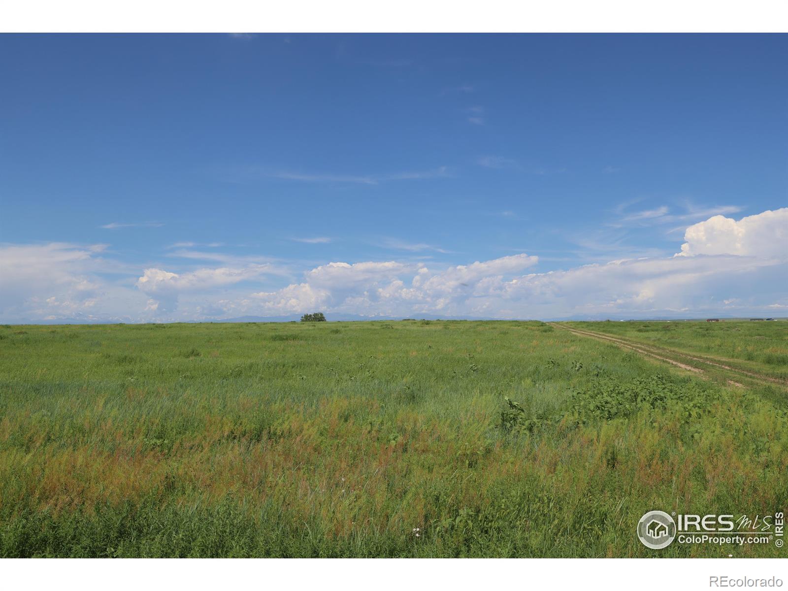 MLS Image #25 for 44585  county road 37 ,pierce, Colorado