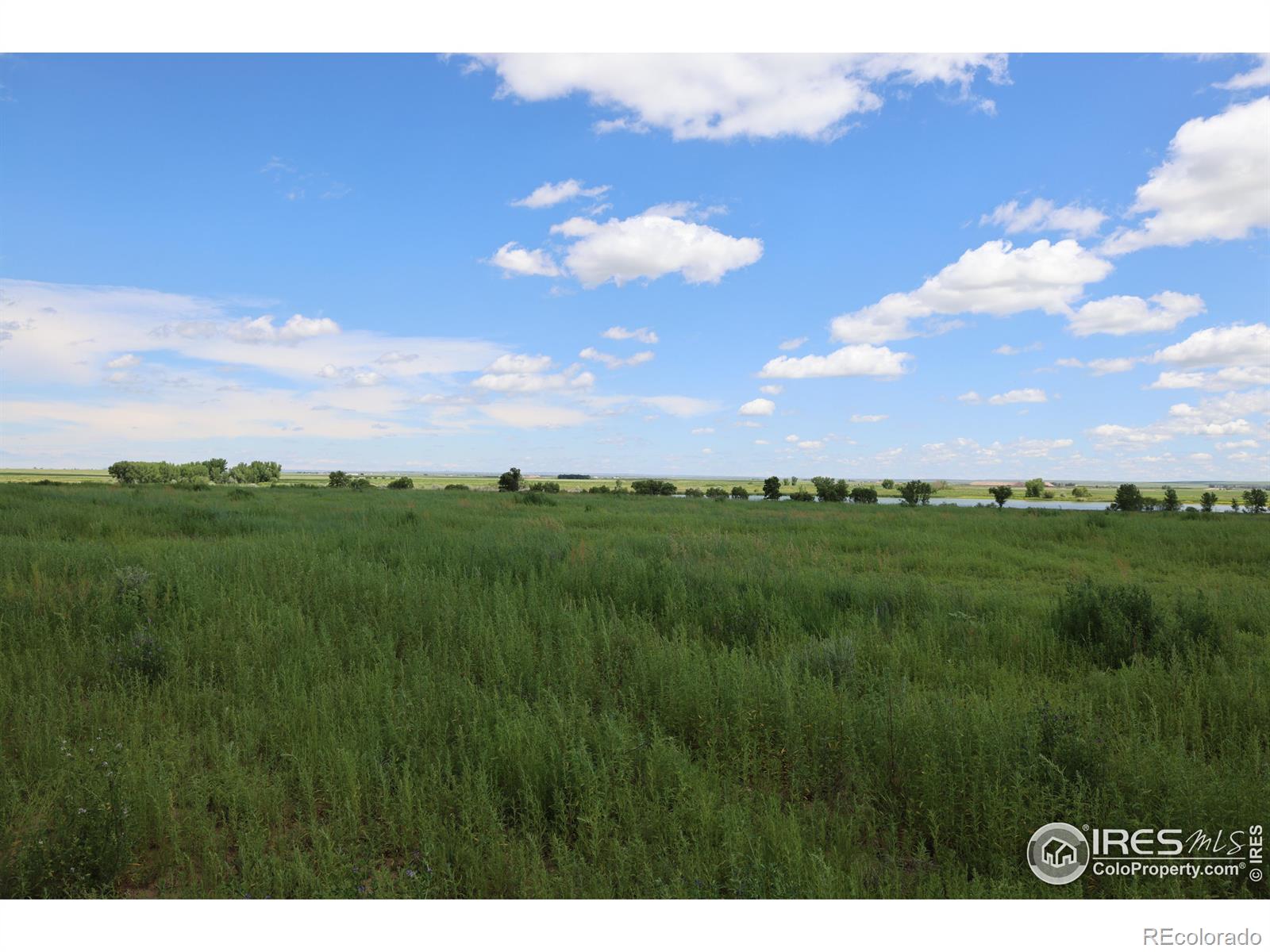 MLS Image #28 for 44585  county road 37 ,pierce, Colorado