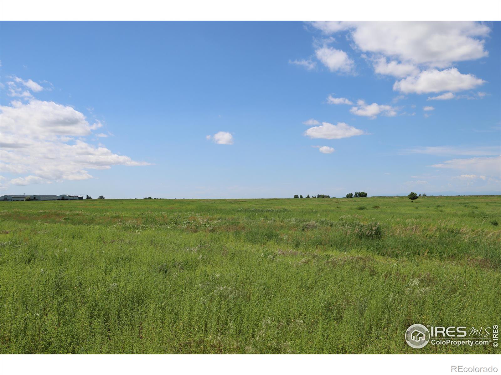 MLS Image #30 for 44585  county road 37 ,pierce, Colorado