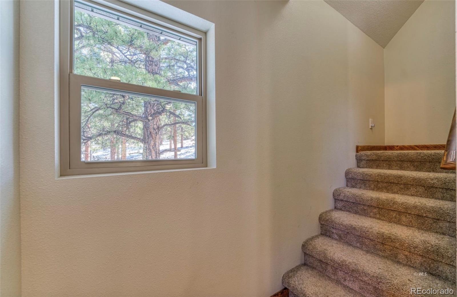 MLS Image #18 for 1443  sangre drive,westcliffe, Colorado