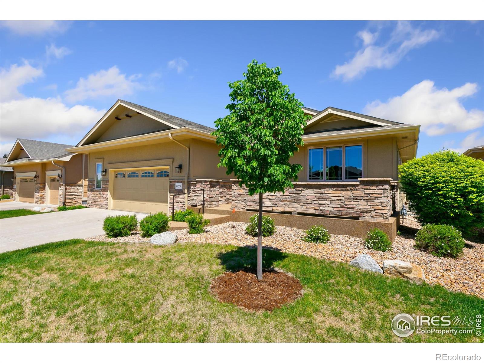 CMA Image for 6728  Spanish Bay Drive,Windsor, Colorado