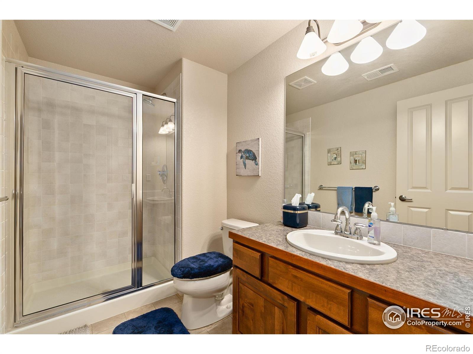 MLS Image #24 for 6728  spanish bay drive,windsor, Colorado