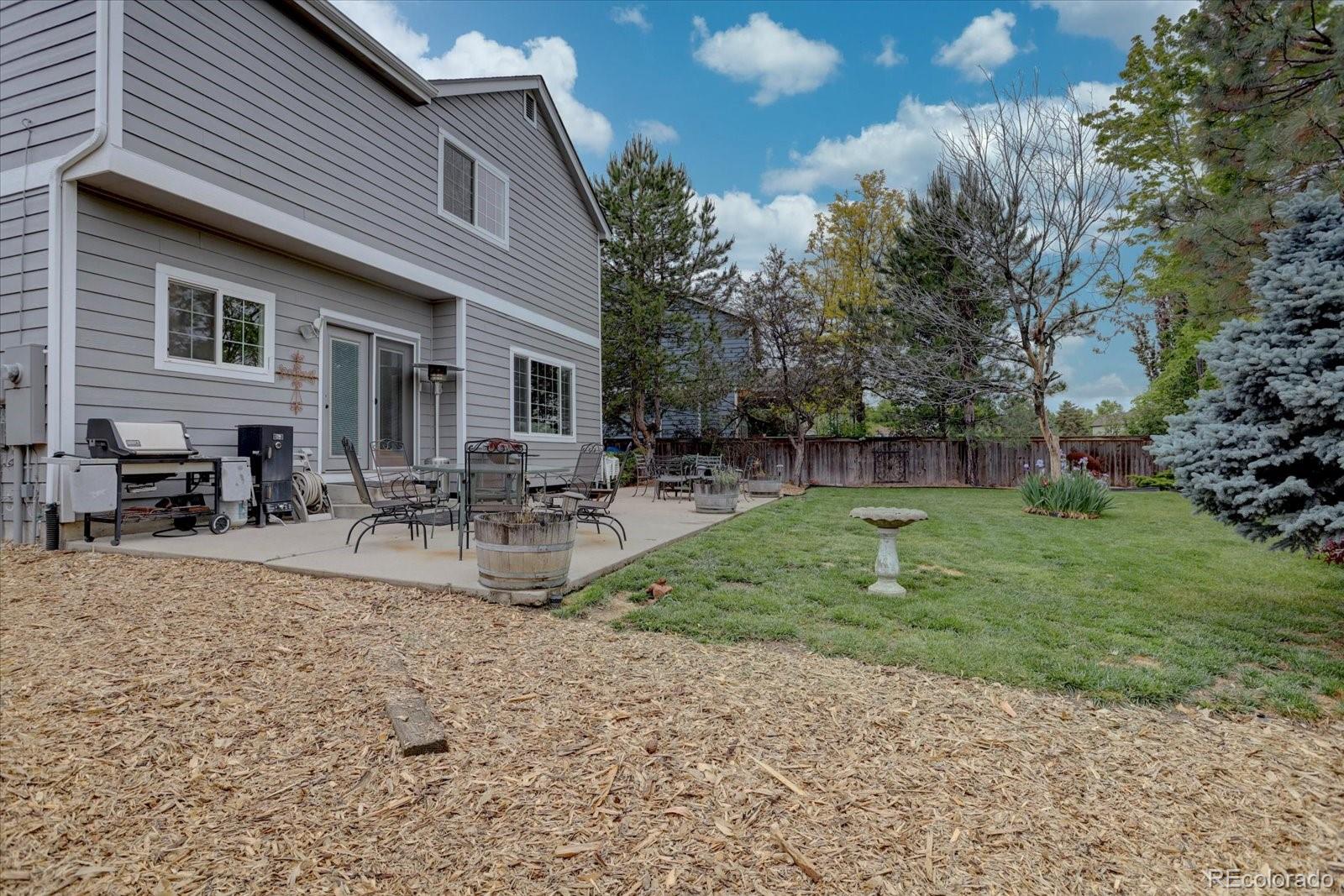 MLS Image #6 for 9079  garnet street,highlands ranch, Colorado