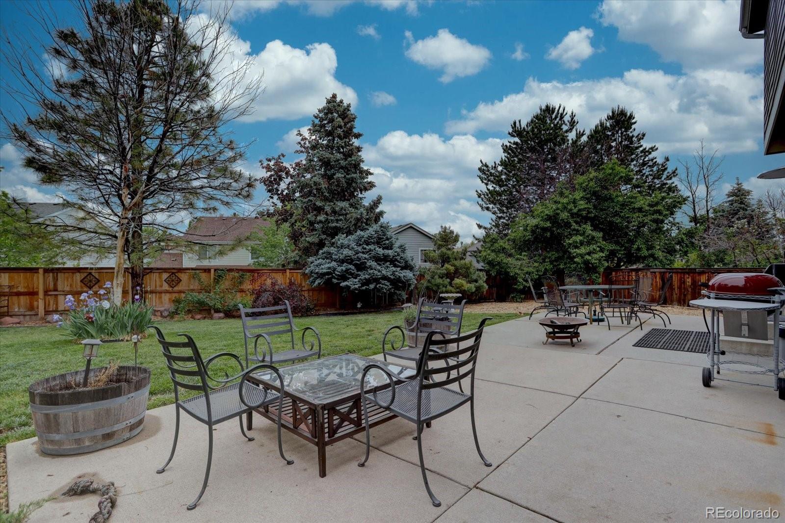 MLS Image #7 for 9079  garnet street,highlands ranch, Colorado
