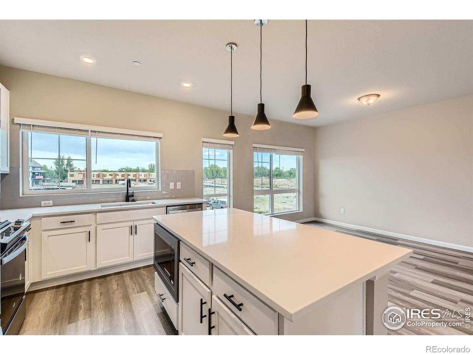 MLS Image #12 for 1002  collamer drive,fort collins, Colorado