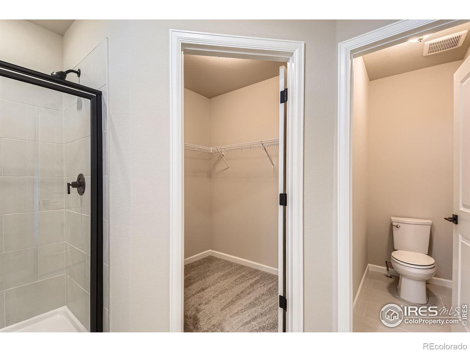 MLS Image #9 for 1002  collamer drive,fort collins, Colorado
