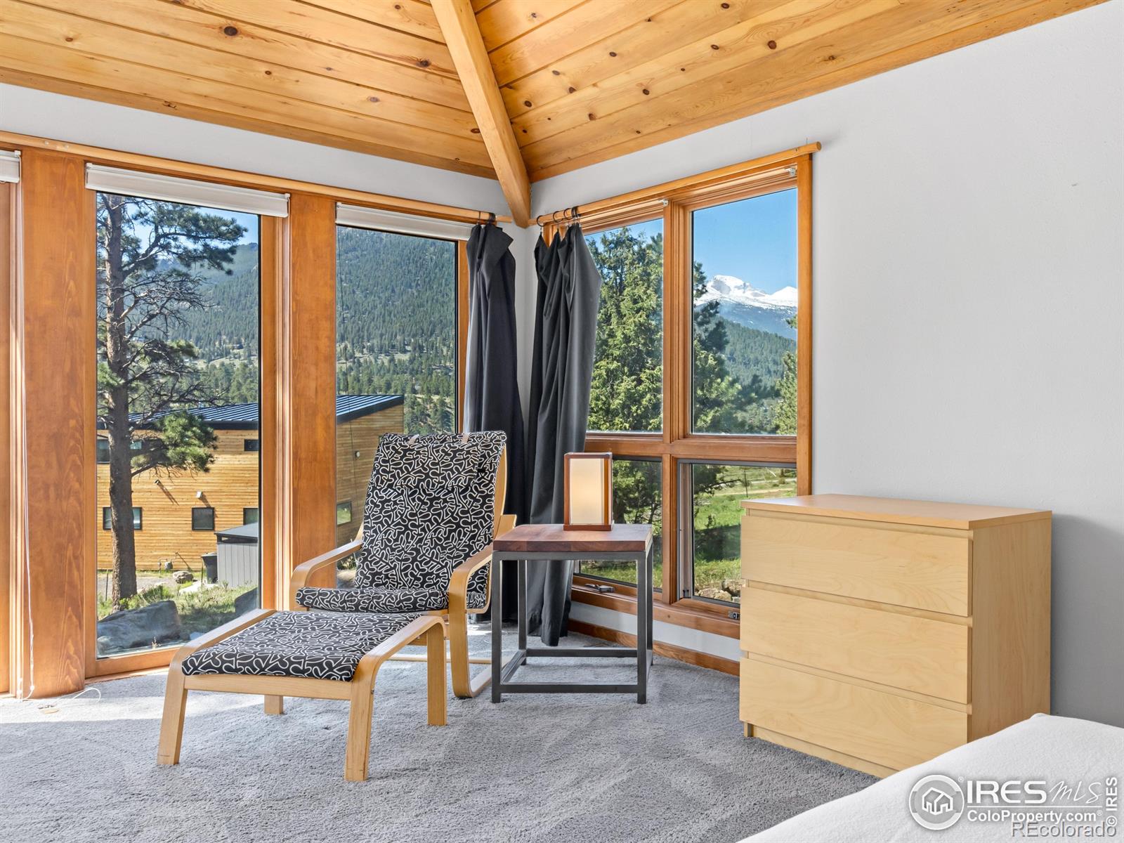 MLS Image #19 for 821  windy rose drive,estes park, Colorado