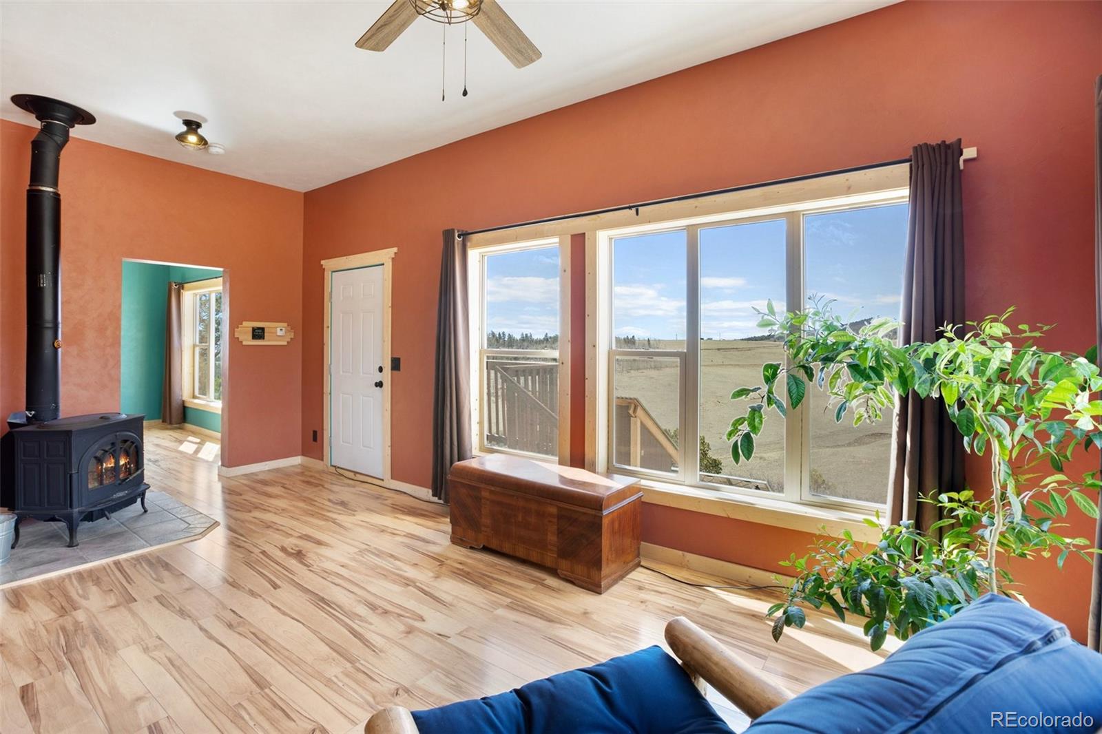 MLS Image #5 for 147  sulky court,hartsel, Colorado