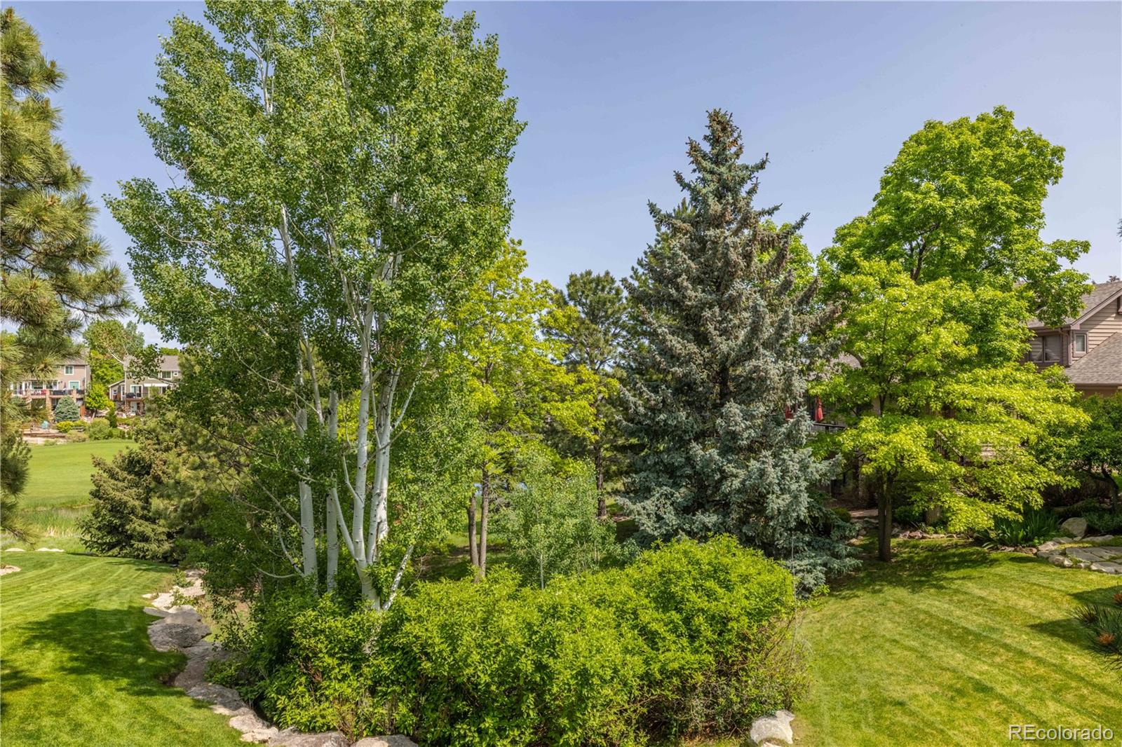 MLS Image #22 for 9  roder gate lane,castle pines, Colorado