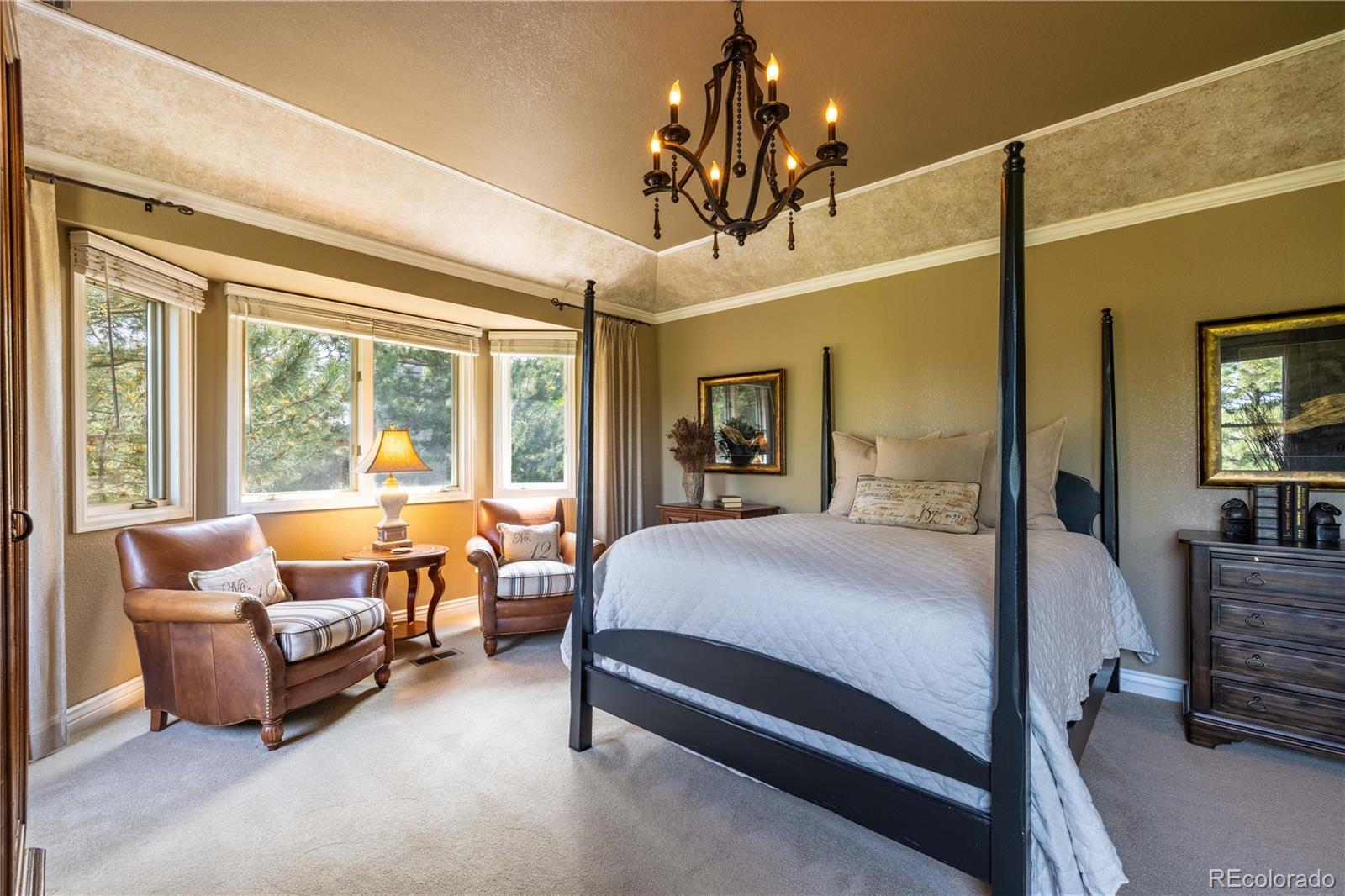 MLS Image #28 for 9  roder gate lane,castle pines, Colorado