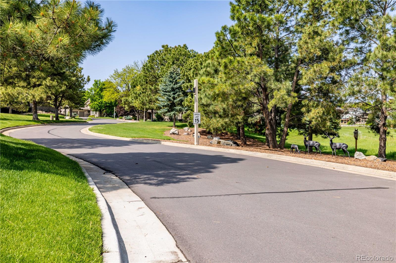 MLS Image #3 for 9  roder gate lane,castle pines, Colorado